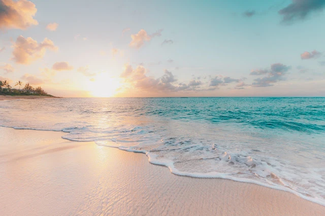 Photo by <a href="https://unsplash.com/@oulashin?utm_source=unsplash&utm_medium=referral&utm_content=creditCopyText">Sean Oulashin</a> on <a href="https://unsplash.com/s/photos/nature?utm_source=unsplash&utm_medium=referral&utm_content=creditCopyText">Unsplash</a>