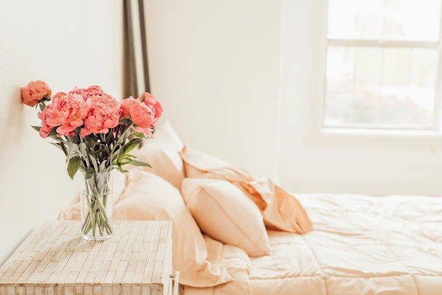 Photo by <a href="https://unsplash.com/@lianamikah?utm_source=unsplash&utm_medium=referral&utm_content=creditCopyText">Liana Mikah</a> on <a href="https://unsplash.com/?utm_source=unsplash&utm_medium=referral&utm_content=creditCopyText">Unsplash</a>