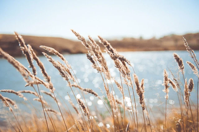 Photo by Tao Yuan on Unsplash